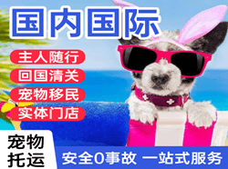 唐山机场快递国际宠物托运 【国